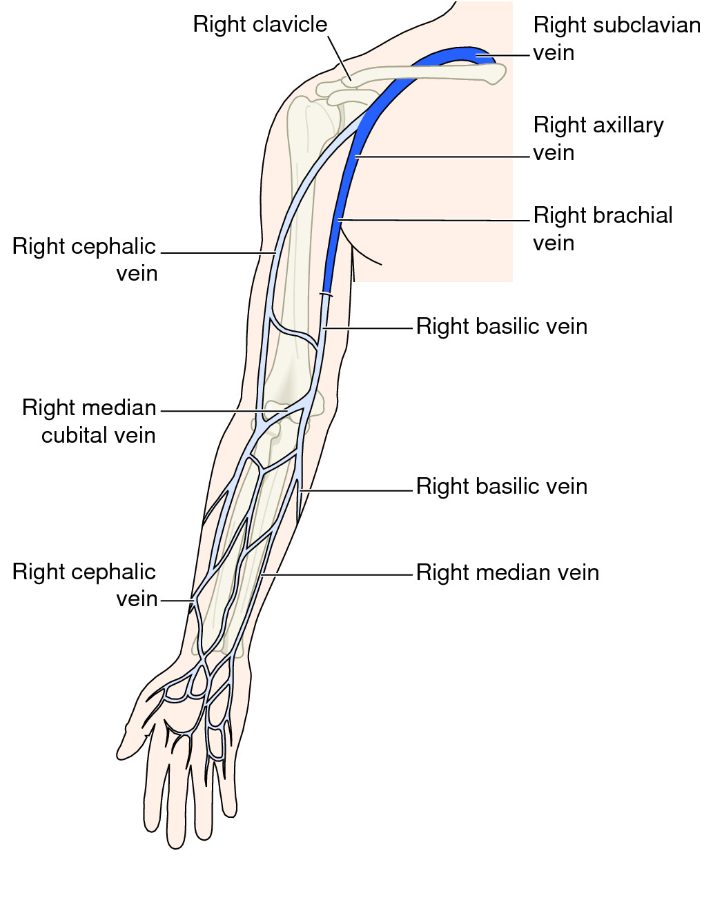 Nursing Skill Image