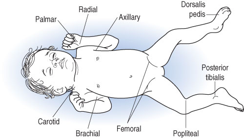 Nursing Skill Image