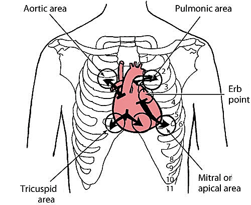 Nursing Skill Image